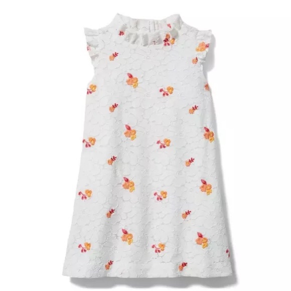 Janie and Jack Embroidered Floral Lace Dress - Picture 1 of 10